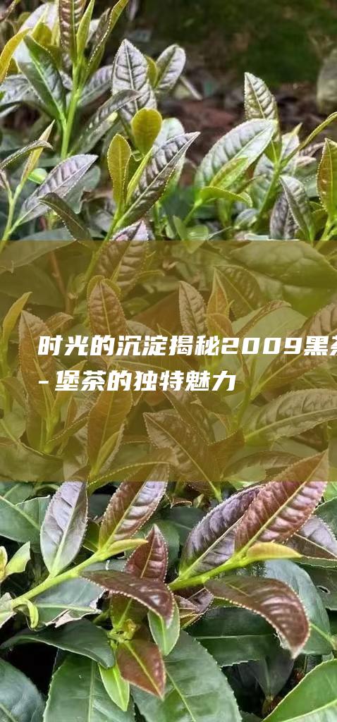 时光的沉淀揭秘2009黑茶六堡茶的独特魅力