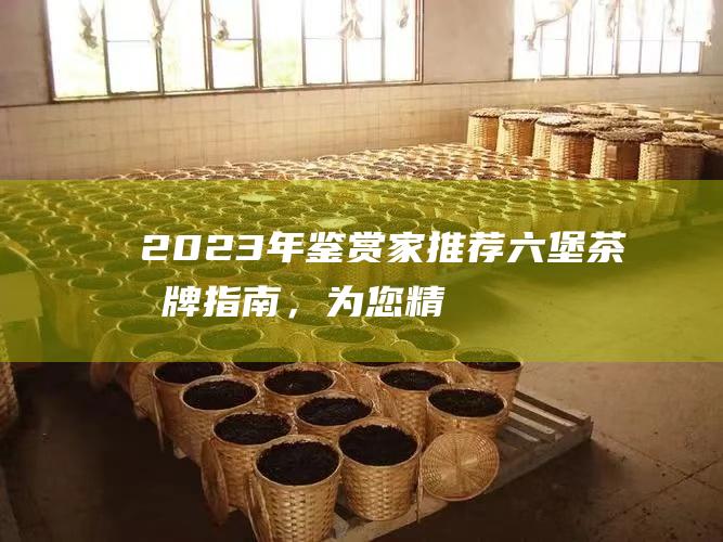 2023年鉴赏家推荐六堡茶品牌指南，为您精