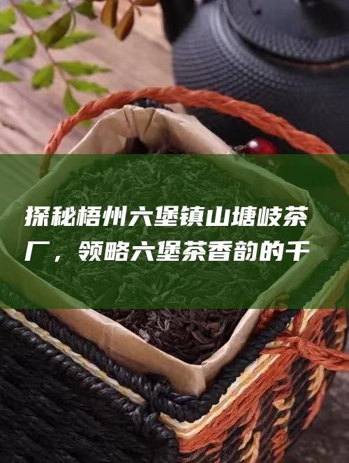 探秘梧州六堡镇山塘岐茶厂，领略六堡茶香韵的千年底蕴