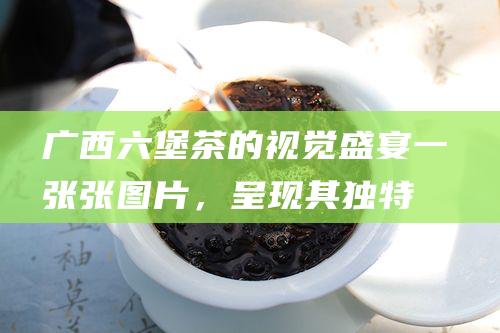 广西六堡茶的视觉盛宴：一张张图片，呈现其独特的色泽、纹理和制作过程