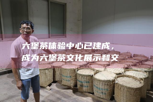 六堡茶体验中心已建成，成为六堡茶文化展示和交流平台。