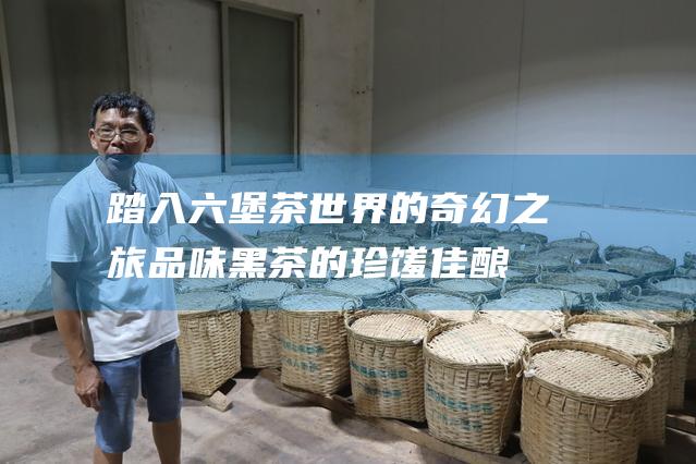 踏入六堡茶世界的奇幻之旅：品味黑茶的珍馐佳酿