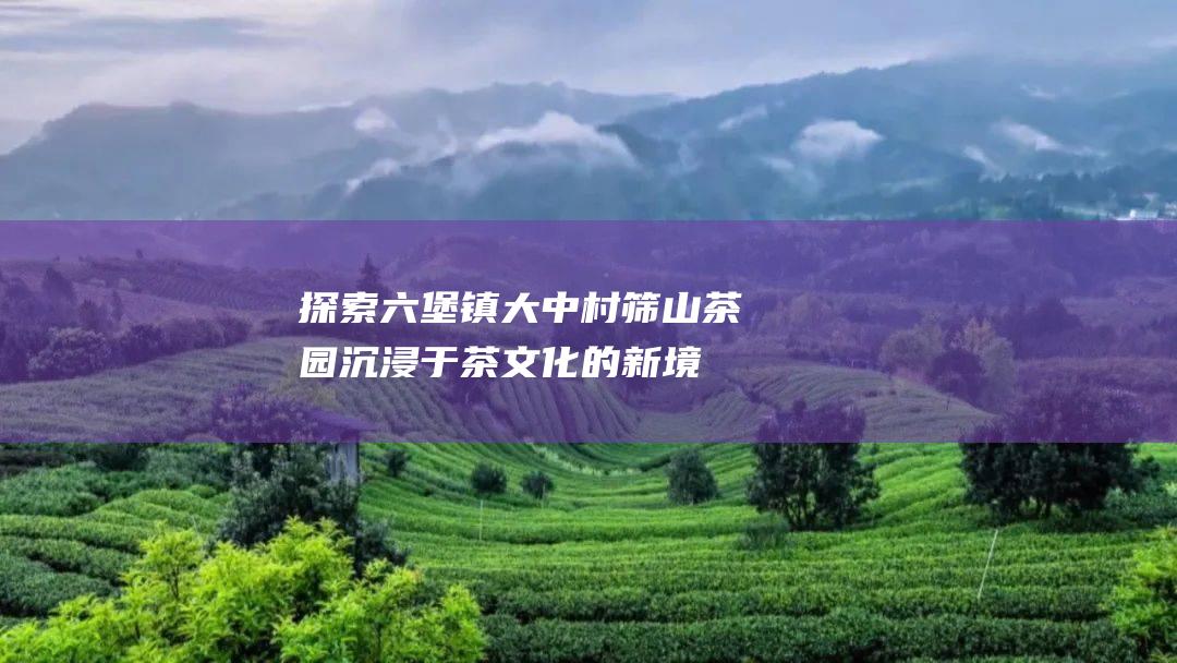 探索六堡镇大中村筛山茶园：沉浸于茶文化的新境界