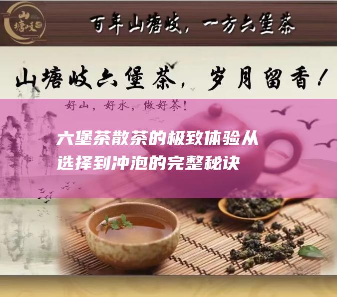 六堡茶散茶的极致体验：从选择到冲泡的完整秘诀