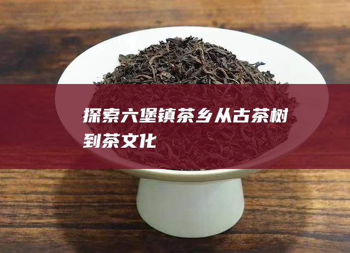 探索六堡镇茶乡从古茶树到茶文化