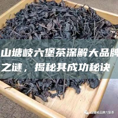 山塘岐六堡茶：深解大品牌之谜，揭秘其成功秘诀