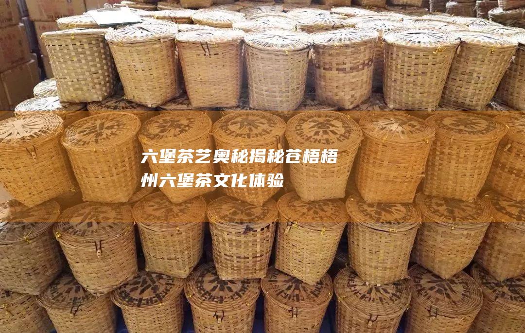 六堡茶艺奥秘揭秘苍梧六堡茶文化体验