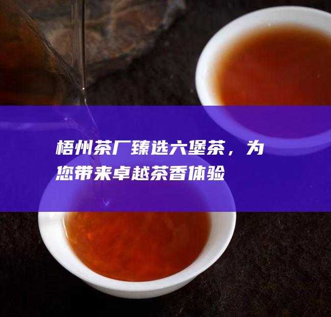 梧州茶厂臻选六堡茶，为您带来卓越茶香体验