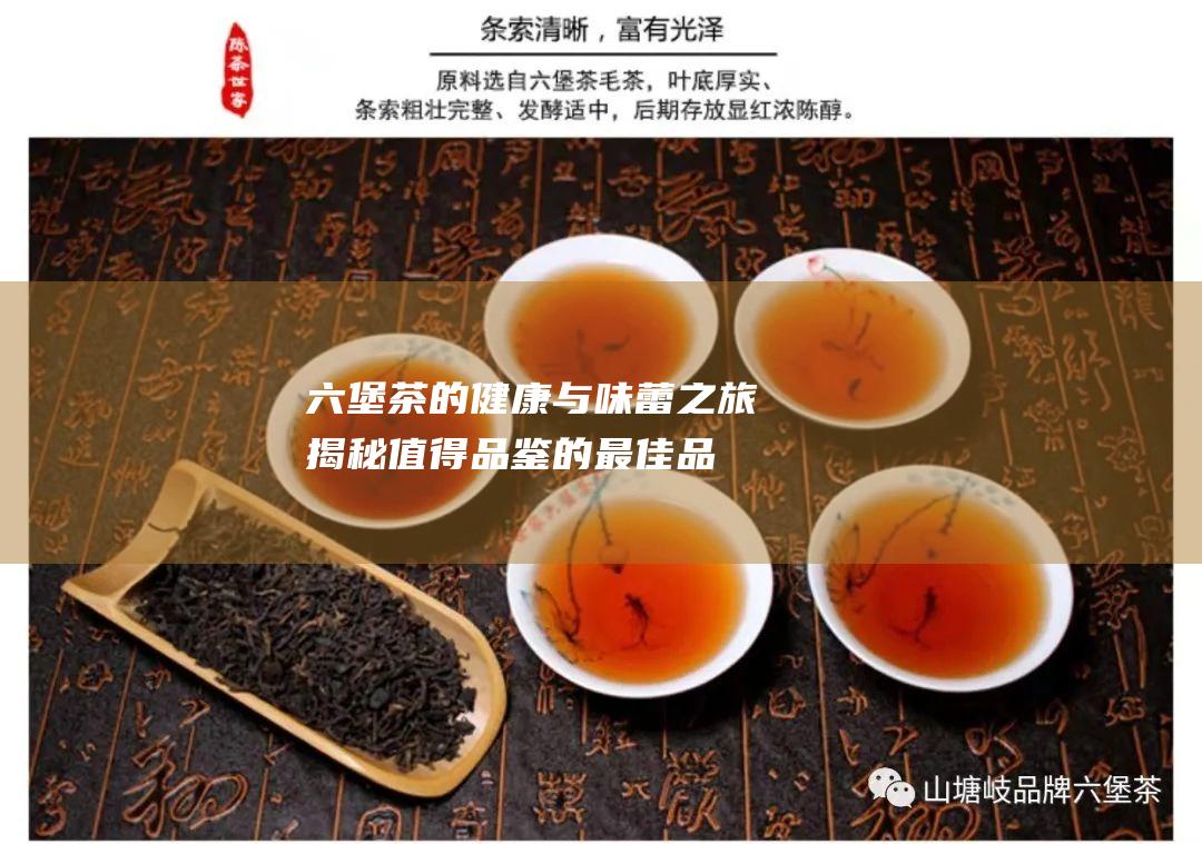 六堡茶的健康与味蕾之旅：揭秘值得品鉴的最佳品牌