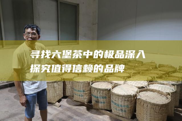 寻找六堡茶中的极品：深入探究值得信赖的品牌