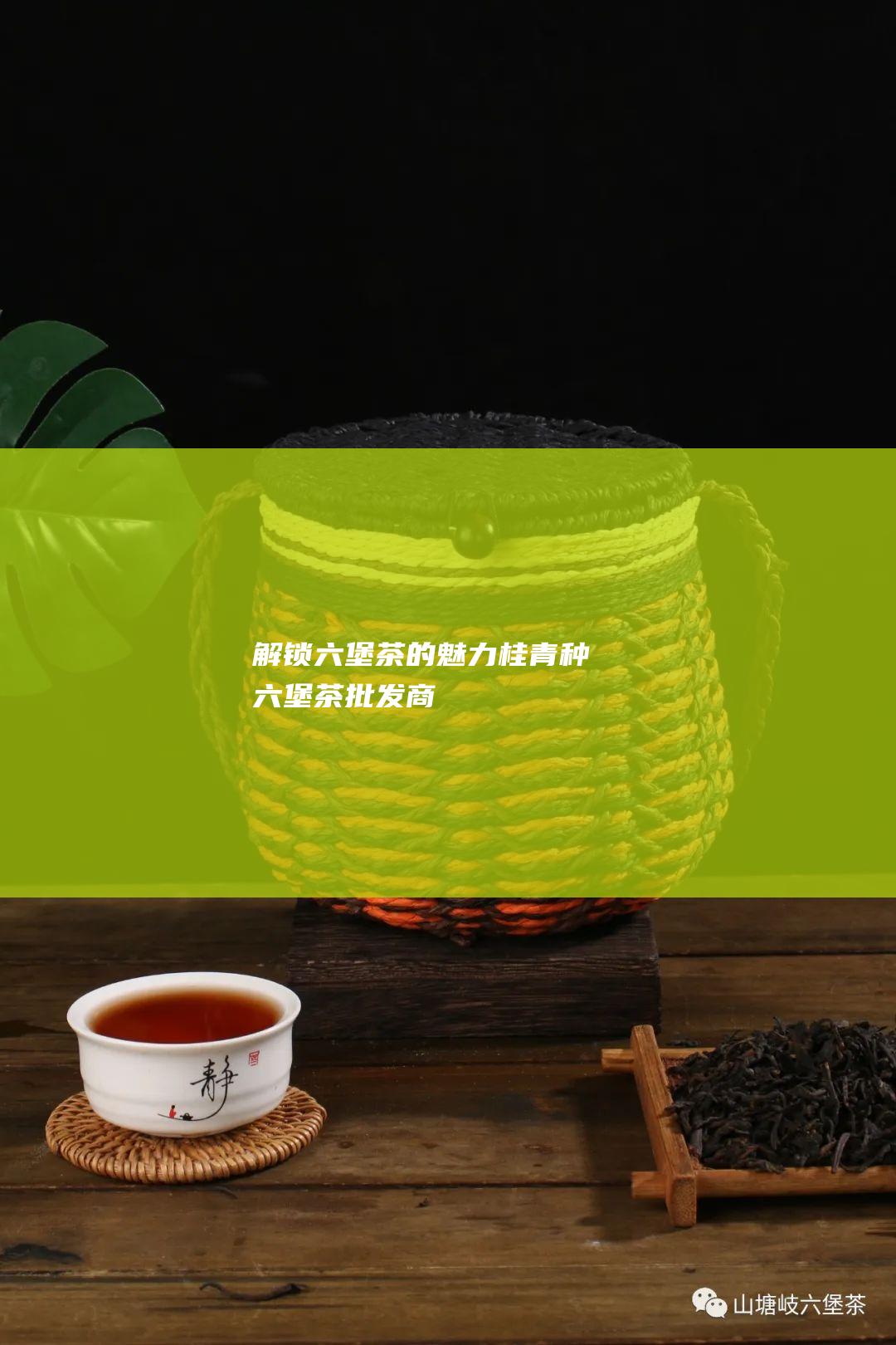 解锁六堡茶的魅力：桂青种六堡茶批发商