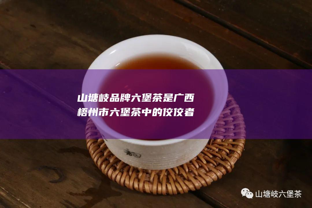 山塘岐品牌六堡茶是广西梧州市六堡茶中的佼佼者，凭借其独特的品质与深厚的文化底蕴，深受茶友们的喜爱。以下是对山塘岐品牌六堡茶的详细介绍：