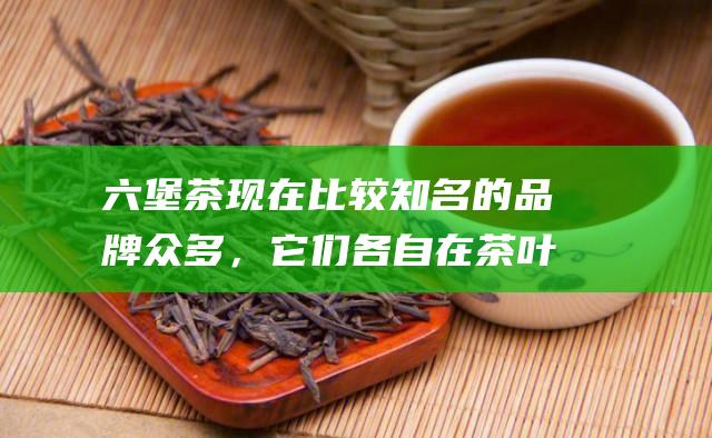 六堡茶现在比较知名的品牌众多，它们各自在茶叶